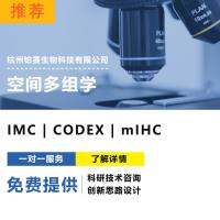 空间蛋白组学/ 多重荧光免疫组化（mIHC）/成像质谱细胞学技术（IMC）/组织原位空间蛋白