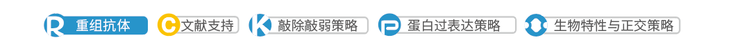 新闻图片2