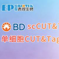 BD单细胞CUT&Tag | 解码单细胞组蛋白修饰图谱