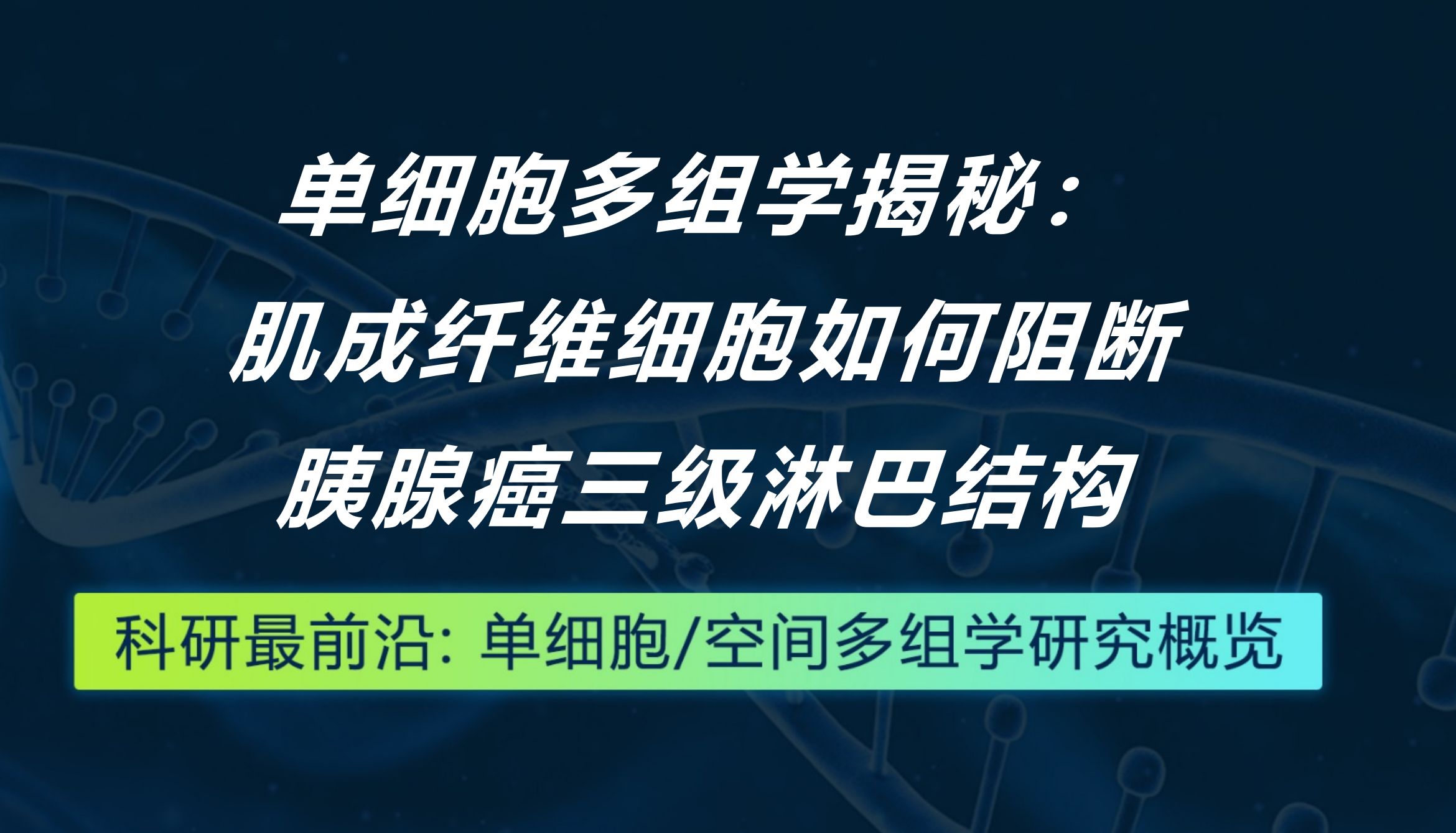 Cancer Cell丨单细胞多组学揭秘：肌成纤维细胞如何阻断胰腺癌三级淋巴结构