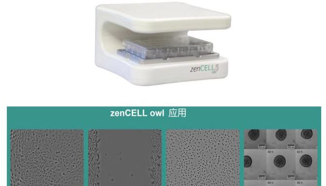 zenCELL owl 实时活细胞成像分析仪用于乳腺癌治疗的新靶点研究