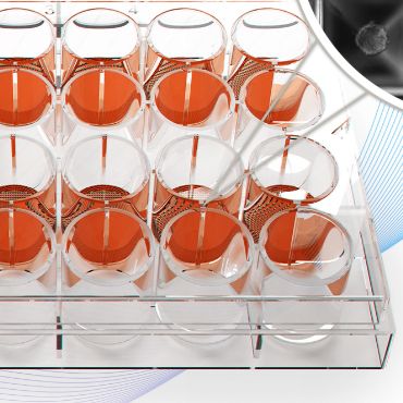 Sphericalplate5D（3D细胞培养板）