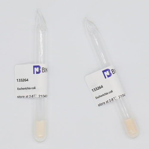 标准菌株优质供应商