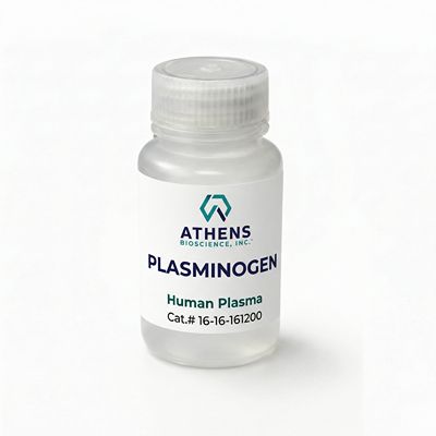 Plasminogen(纤溶酶原)产品图