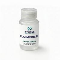Plasminogen（纤溶酶原）​
