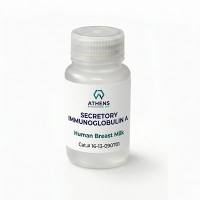 IgA1, Immunoglobulin A1, Human Myeloma Plasma