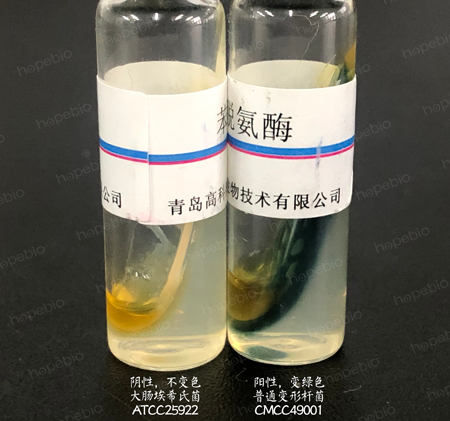 产品细节图片1