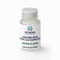 富含亮氨酸的α2糖蛋白-1（LRG1）抗原