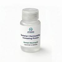 细菌/渗透性增加蛋白抗原 (BPI,CAP57)