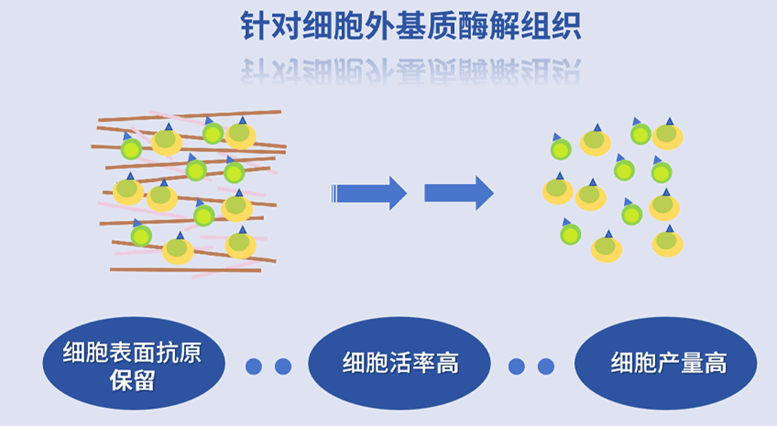 产品细节图片11