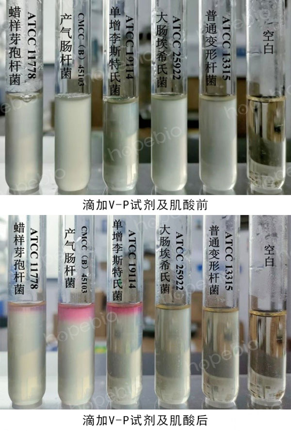 产品细节图片1
