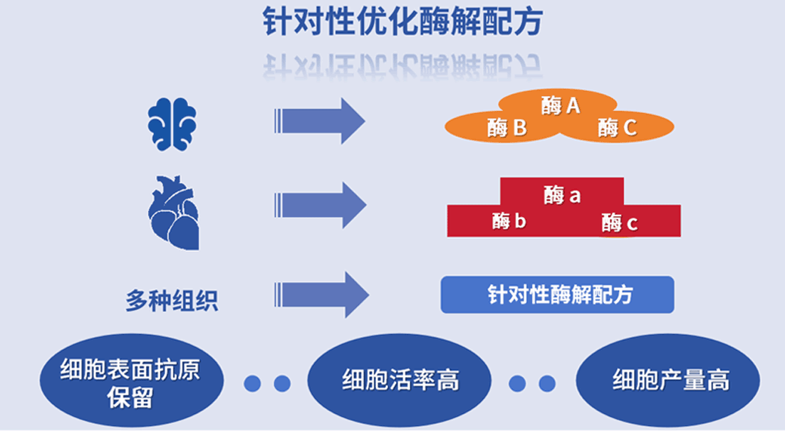 产品细节图片12
