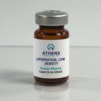 LDL 低密度脂蛋白