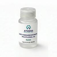 血小板反应蛋白(Thrombospondin)