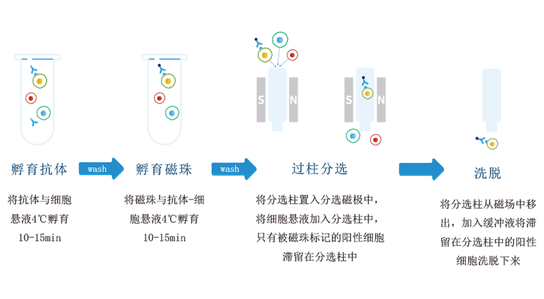 产品细节图片2