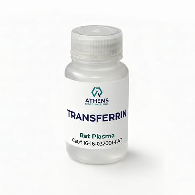 大鼠血清转铁蛋白