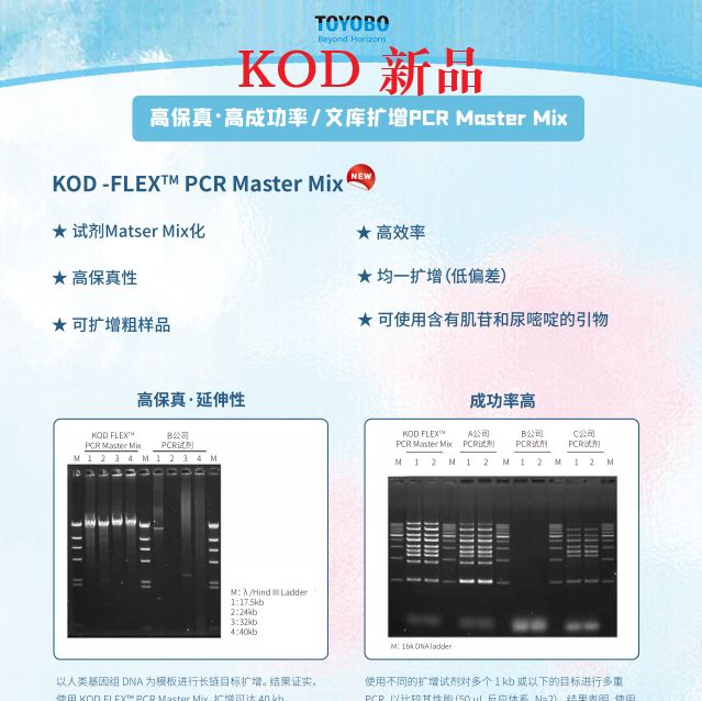  高効率・高成功率PCR Master Mix