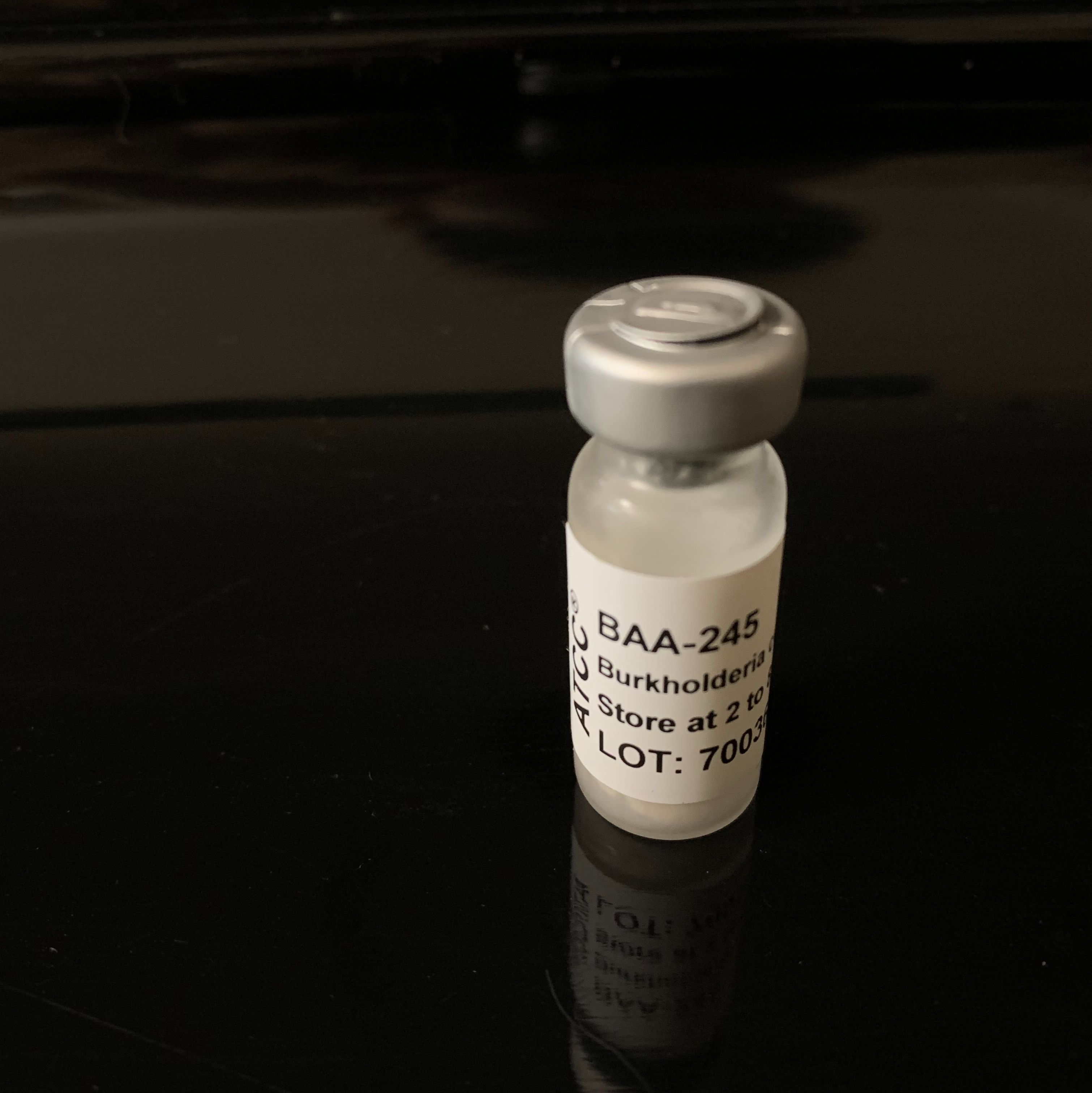 ATCC BAA-245新圆葱伯克霍尔德菌标准菌株