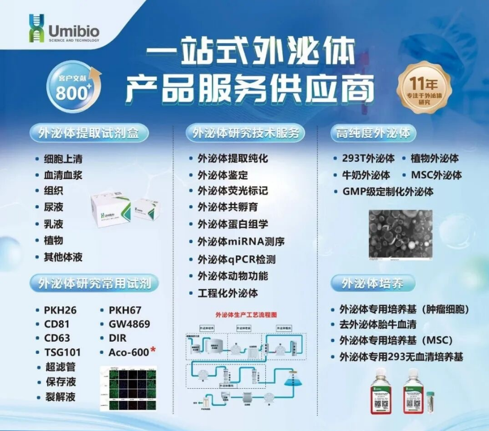 IF=19.5 研究揭示衰老肝细胞外泌体促泛癌转移新机制