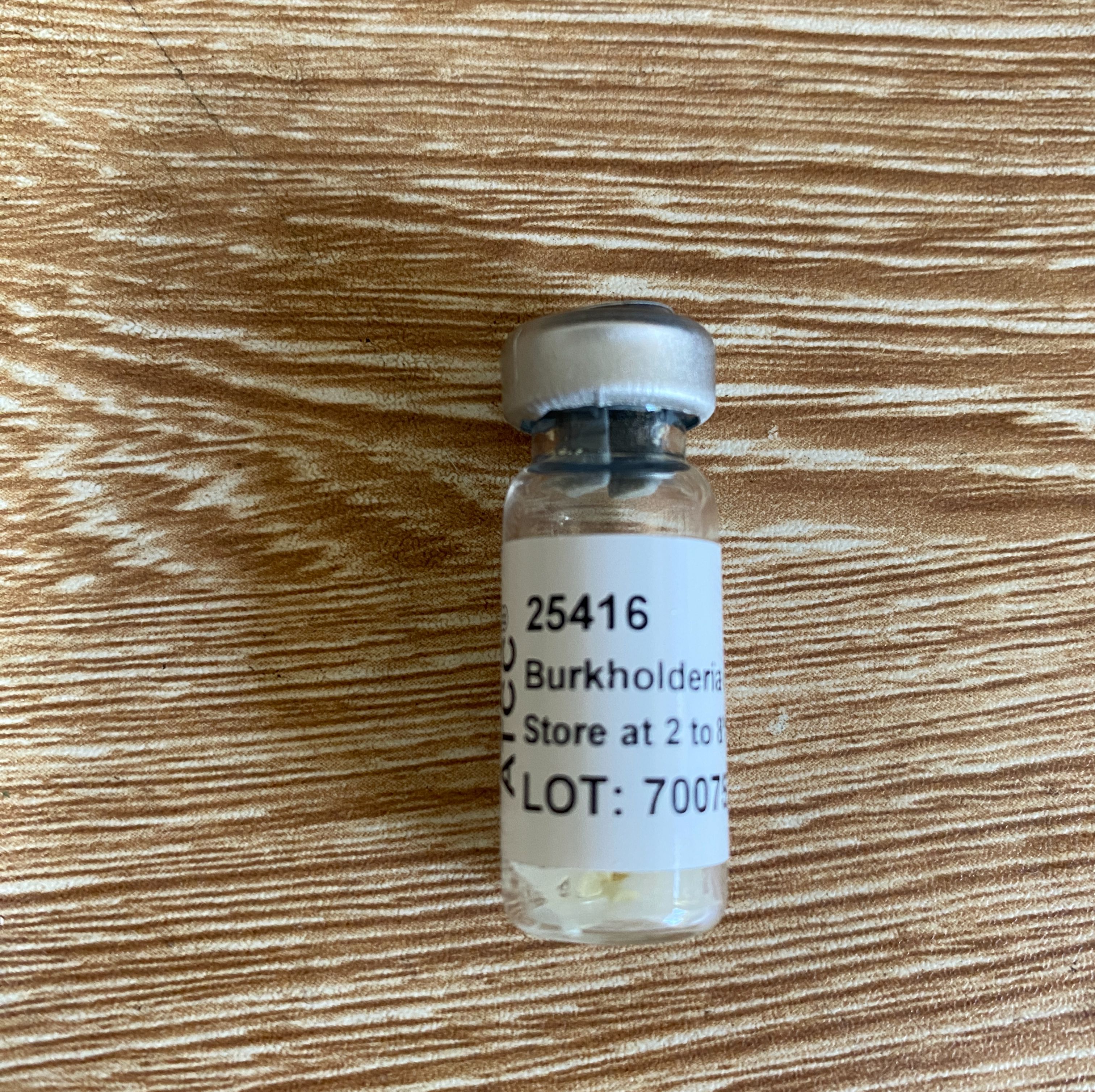 ATCC 25416圆葱伯克霍尔德菌