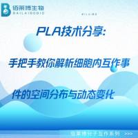 PLA技术分享：手把手教你解析细胞内互作事件的空间分布与动态变化