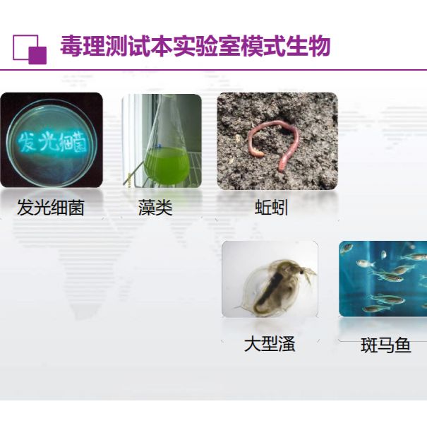 毒理测试服务-----从环境到食品