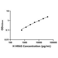人V-Ha-Ras肉瘤病毒癌基因同源物(HRAS)ELISA试剂盒