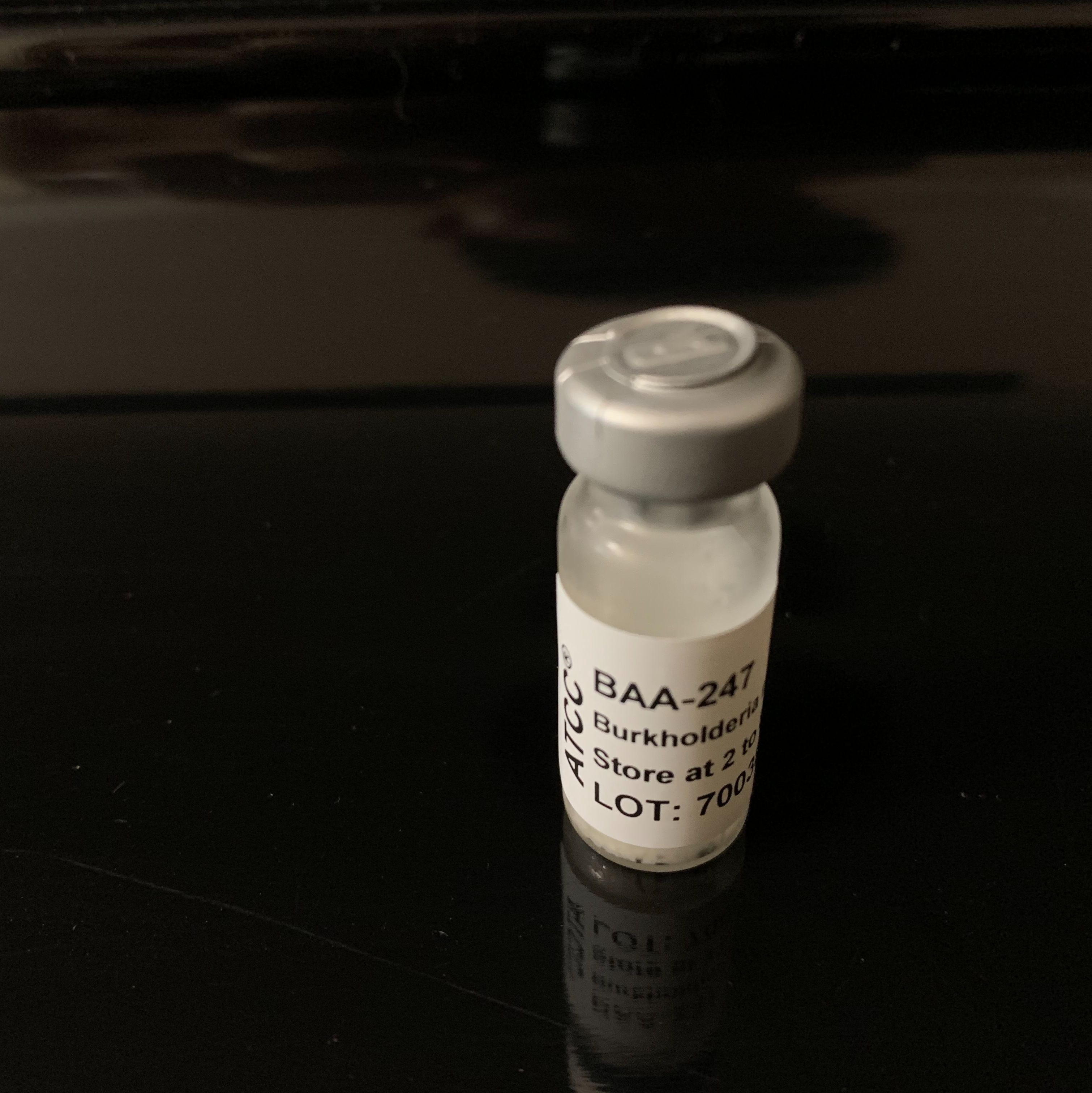 ATCC BAA-247多噬伯克霍尔德菌标准菌株
