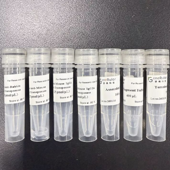 Nanobody-Tn5