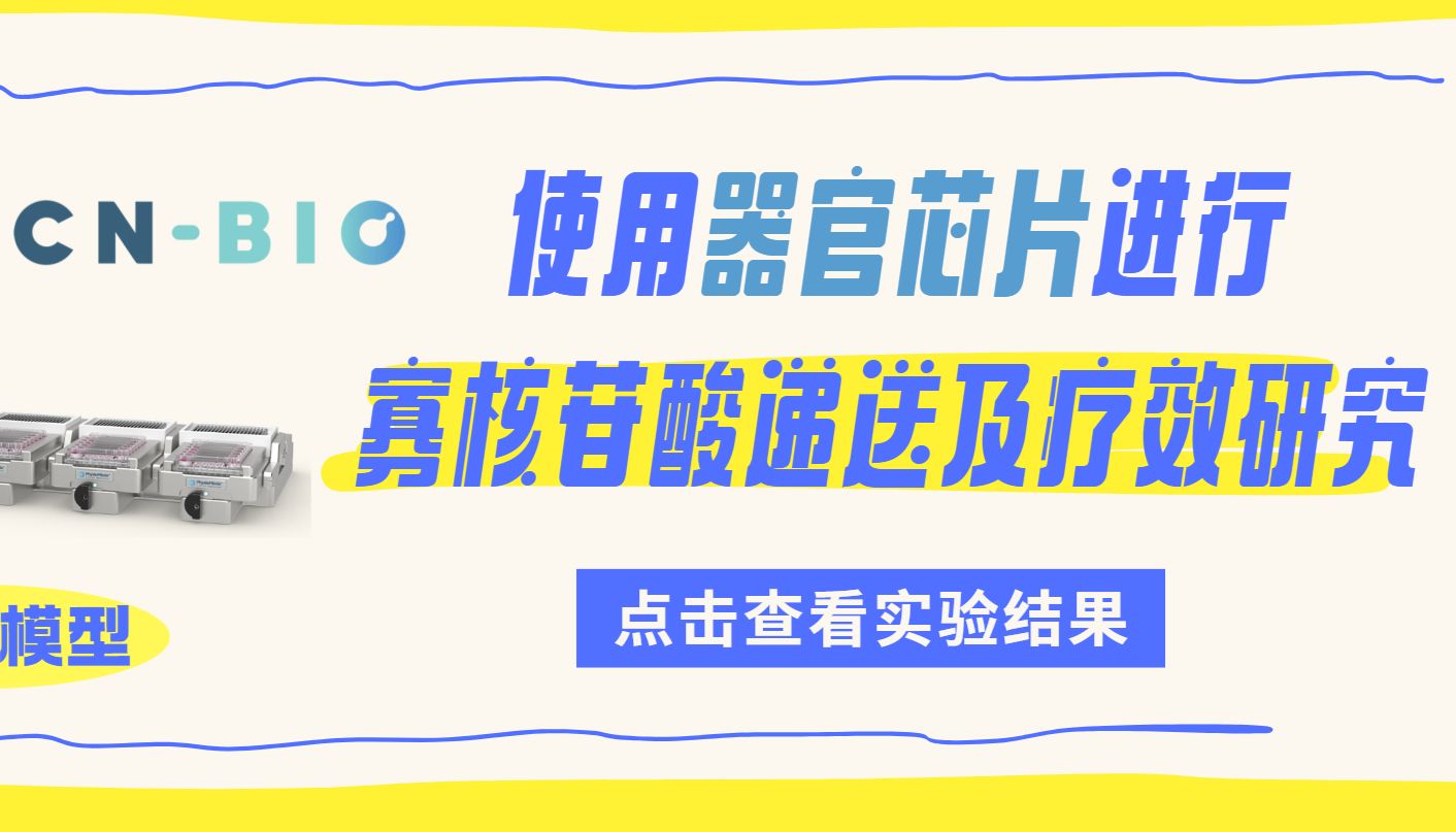CN Bio微流控器官芯片系统技术分享｜用器官芯片进行寡核苷酸的递送及疗效研究