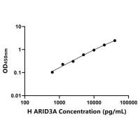 人AT丰富结合域3A(ARID3A)ELISA试剂盒