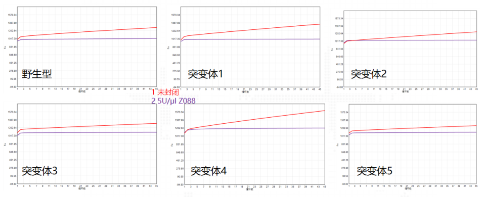 双封闭抗体+Taq酶+预混液，为精准诊断打造可靠“冷敷贴”