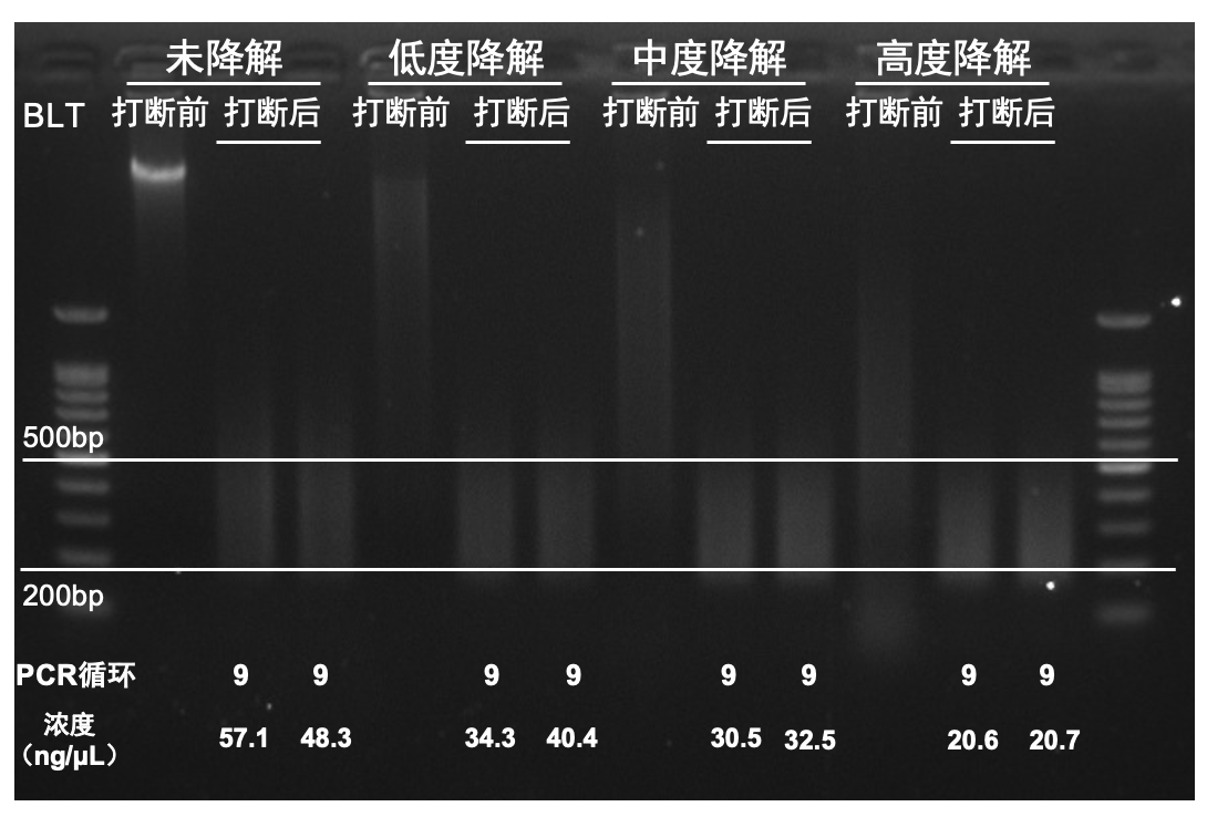 产品细节图片4