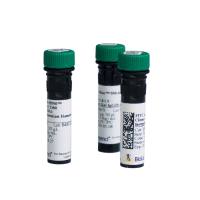 FITC anti-human CD3