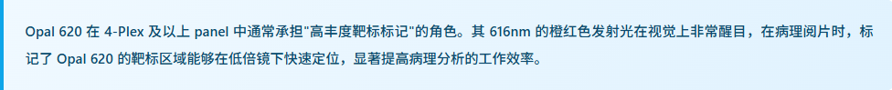产品细节图片2