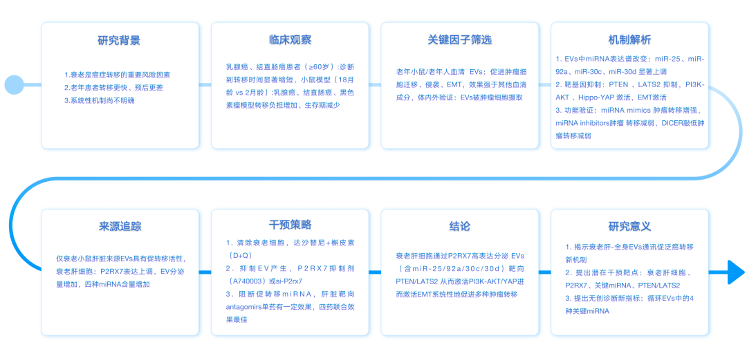 IF=19.5 研究揭示衰老肝细胞外泌体促泛癌转移新机制