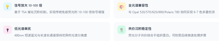 产品细节图片5