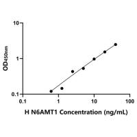人N-6-腺嘌呤特异性DNA甲基转移酶1(N6AMT1)ELISA试剂盒
