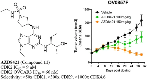 BMG LABTECH多功能酶标仪文献分享,阿斯利康连同康龙化成发表在Drugs Annotation 上“Discovery of AZD8421: A Potent CDK2 Inhibitor with Selectivity Against Other CDK Family Members and the Human Kinome”