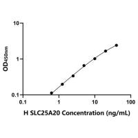 人肉毒碱脂酰转移酶(SLC25A20)ELISA试剂盒