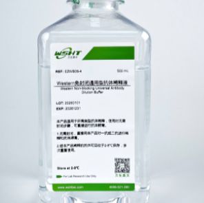 Western 免封闭通用型抗体稀释液