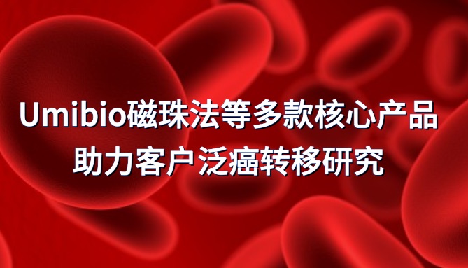 IF=19.5 研究揭示衰老肝细胞外泌体促泛癌转移新机制