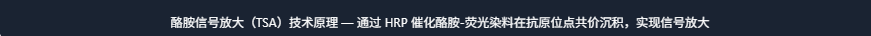 产品细节图片3