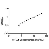 人Tolloid样蛋白1(TLL1)ELISA试剂盒