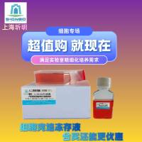 EB病毒感染的人外周淋巴细胞;JVM-2(STR)