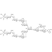 Neu5Gcα(2-6)核6-岩藻糖基化 N-聚糖2AB (500pmol/vial)，>98.0%(HPLC)，阿拉丁