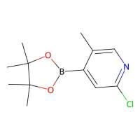 2-chloro-5-methyl-4-(4,4,5,5-tetramethyl-1,3,2-dioxaborolan-2-yl)pyridine,2377609-79-3,97%,阿拉丁
