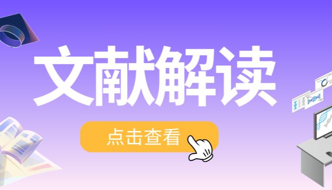 Nat Immunol | 复旦大学研究团队揭示BCKA作为信号代谢物被NOTCH2感知重塑肿瘤免疫微环境