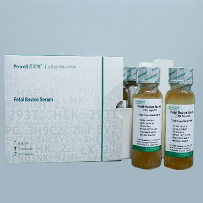 澳洲胎牛血清（ FBS）