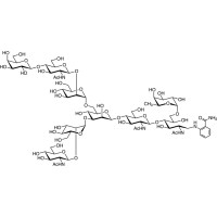 6-G1F 2AB (500pmol/vial),1107646-29-6,>95.0%(HPLC),阿拉丁
